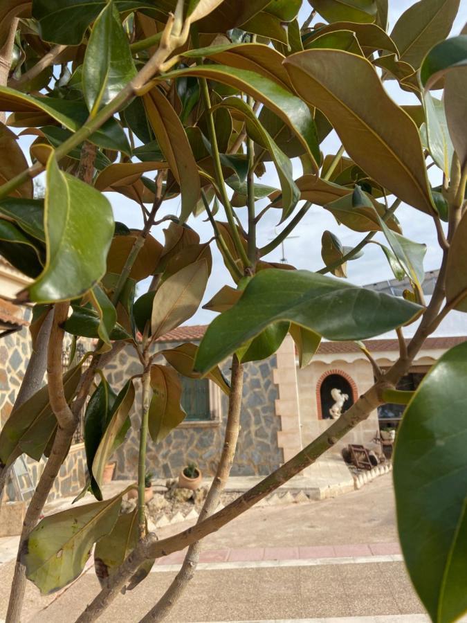 Esse Natura Alojamientos & Lifestyle Pozohondo المظهر الخارجي الصورة