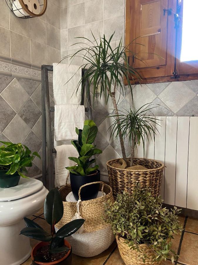 Esse Natura Alojamientos & Lifestyle Pozohondo المظهر الخارجي الصورة